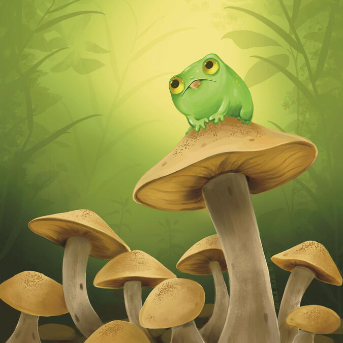 Mushroom Frog